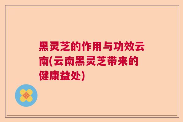 黑灵芝的作用与功效云南(云南黑灵芝带来的健康益处) 黑灵芝的作用与功效云南(云南黑灵芝带来的健康益处)