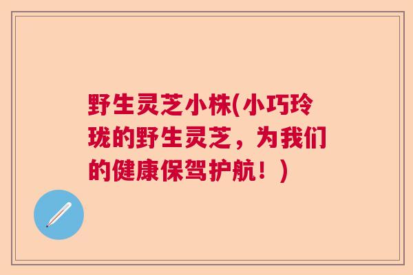 野生灵芝小株(小巧玲珑的野生灵芝,为我们的健康保驾护航!) 野生灵芝小株(小巧玲珑的野生灵芝,为我们的健康保驾护航!)