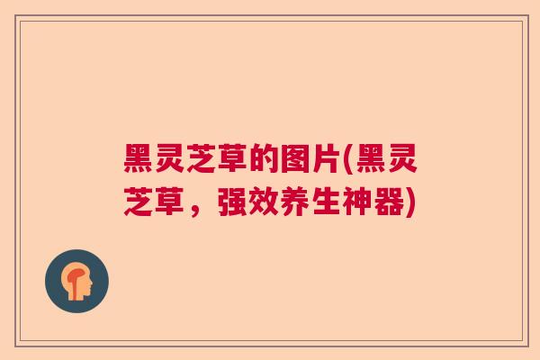 黑灵芝草的图片(黑灵芝草,强效养生神器) 黑灵芝草的图片(黑灵芝草,强效养生神器)