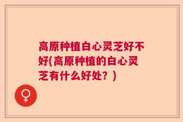 高原种植白心灵芝好不好(高原种植的白心灵芝有什么好处?) 高原种植白心灵芝好不好(高原种植的白心灵芝有什么好处?)