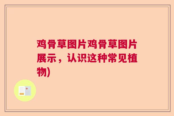 鸡骨草图片鸡骨草图片展示,认识这种常见植物) 鸡骨草图片鸡骨草图片展示,认识这种常见植物)
