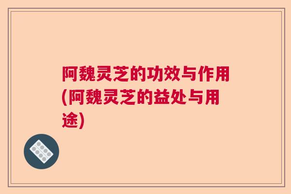 阿魏灵芝的功效与作用(阿魏灵芝的益处与用途) 阿魏灵芝的功效与作用(阿魏灵芝的益处与用途)