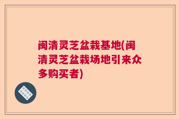 闽清灵芝盆栽基地(闽清灵芝盆栽场地引来众多购买者) 闽清灵芝盆栽基地(闽清灵芝盆栽场地引来众多购买者)