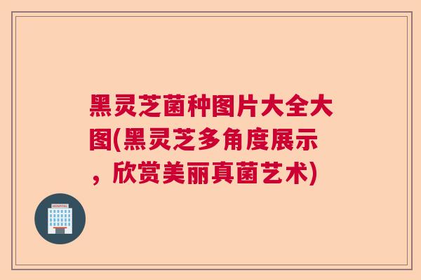 黑灵芝菌种图片大全大图(黑灵芝多角度展示,欣赏美丽真菌艺术) 黑灵芝菌种图片大全大图(黑灵芝多角度展示,欣赏美丽真菌艺术)