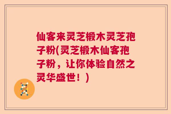 仙客来灵芝椴木灵芝孢子粉(灵芝椴木仙客孢子粉,让你体验自然之灵华盛世!) 仙客来灵芝椴木灵芝孢子粉(灵芝椴木仙客孢子粉,让你体验自然之灵华盛世!)