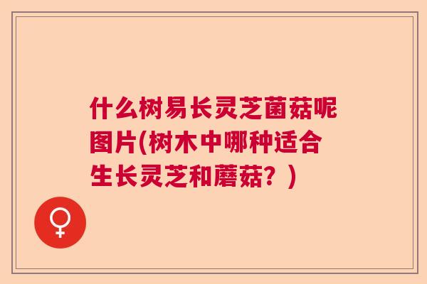 什么树易长灵芝菌菇呢图片(树木中哪种适合生长灵芝和蘑菇?) 什么树易长灵芝菌菇呢图片(树木中哪种适合生长灵芝和蘑菇?)