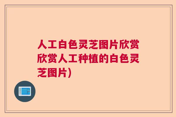 人工白色灵芝图片欣赏欣赏人工种植的白色灵芝图片) 人工白色灵芝图片欣赏欣赏人工种植的白色灵芝图片)