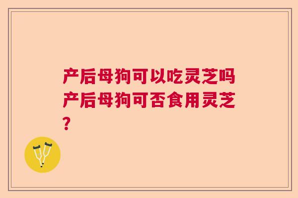 产后母狗可以吃灵芝吗产后母狗可否食用灵芝? 产后母狗可以吃灵芝吗产后母狗可否食用灵芝?
