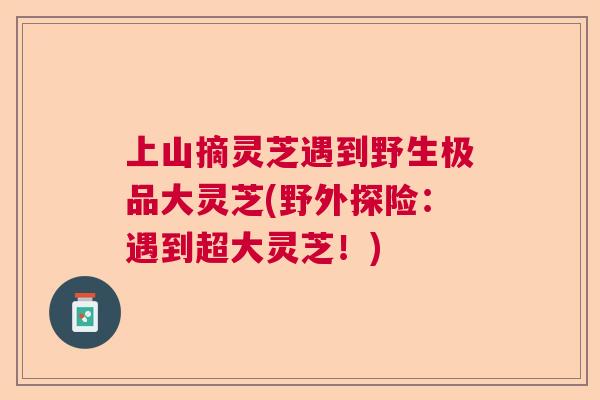 上山摘灵芝遇到野生极品大灵芝(野外探险:遇到超大灵芝!) 上山摘灵芝遇到野生极品大灵芝(野外探险:遇到超大灵芝!)