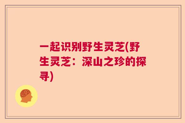 一起识别野生灵芝(野生灵芝:深山之珍的探寻) 一起识别野生灵芝(野生灵芝:深山之珍的探寻)