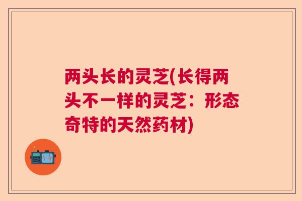 两头长的灵芝(长得两头不一样的灵芝:形态奇特的天然药材) 两头长的灵芝(长得两头不一样的灵芝:形态奇特的天然药材)