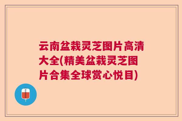 云南盆栽灵芝图片高清大全(精美盆栽灵芝图片合集全球赏心悦目) 云南盆栽灵芝图片高清大全(精美盆栽灵芝图片合集全球赏心悦目)