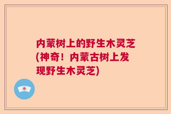 内蒙树上的野生木灵芝(神奇！内蒙古树上发现野生木灵芝)