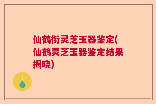 仙鹤衔灵芝玉器鉴定(仙鹤灵芝玉器鉴定结果揭晓)
