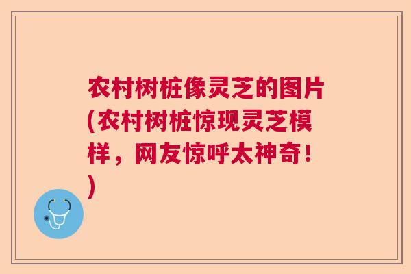 农村树桩像灵芝的图片(农村树桩惊现灵芝模样,网友惊呼太神奇!) 农村树桩像灵芝的图片(农村树桩惊现灵芝模样,网友惊呼太神奇!)