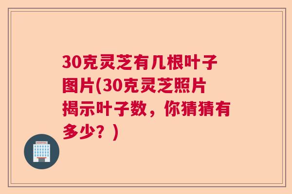 30克灵芝有几根叶子图片(30克灵芝照片揭示叶子数,你猜猜有多少?) 30克灵芝有几根叶子图片(30克灵芝照片揭示叶子数,你猜猜有多少?)