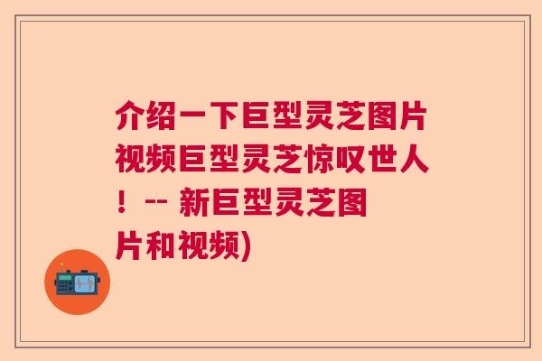 介绍一下巨型灵芝图片视频巨型灵芝惊叹世人！-- 新巨型灵芝图片和视频)