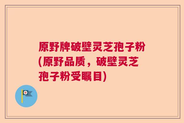 原野牌破壁灵芝孢子粉(原野品质，破壁灵芝孢子粉受瞩目)