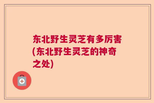东北野生灵芝有多厉害(东北野生灵芝的神奇之处)
