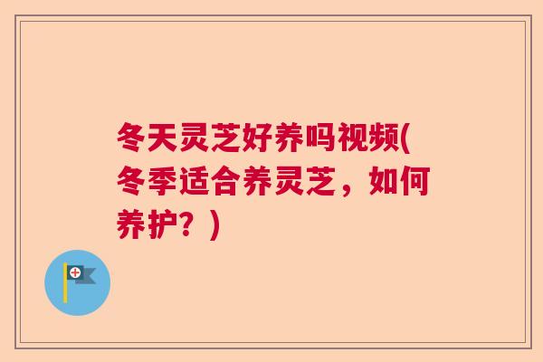 冬天灵芝好养吗视频(冬季适合养灵芝,如何养护?) 冬天灵芝好养吗视频(冬季适合养灵芝,如何养护?)