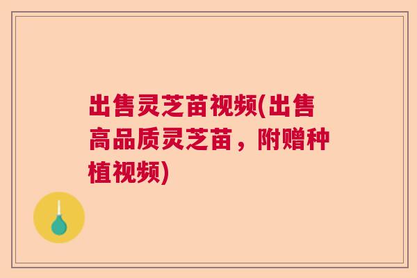 出售灵芝苗视频(出售高品质灵芝苗,附赠种植视频) 出售灵芝苗视频(出售高品质灵芝苗,附赠种植视频)