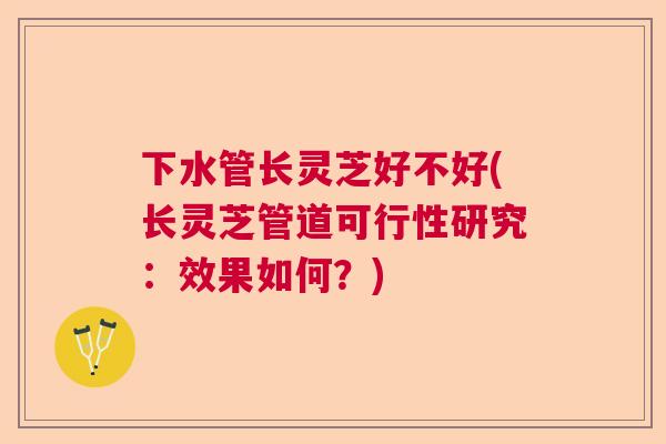 下水管长灵芝好不好(长灵芝管道可行性研究：效果如何？)