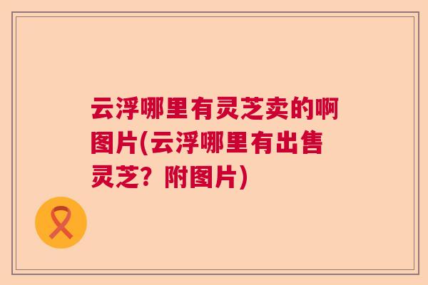 云浮哪里有灵芝卖的啊图片(云浮哪里有出售灵芝?附图片) 云浮哪里有灵芝卖的啊图片(云浮哪里有出售灵芝?附图片)
