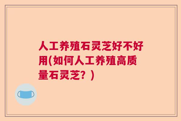 人工养殖石灵芝好不好用(如何人工养殖高质量石灵芝？)