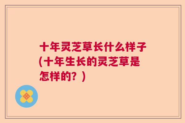 十年灵芝草长什么样子(十年生长的灵芝草是怎样的?) 十年灵芝草长什么样子(十年生长的灵芝草是怎样的?)