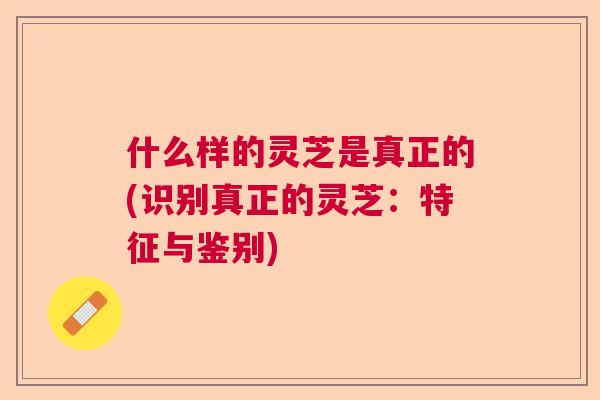 什么样的灵芝是真正的(识别真正的灵芝:特征与鉴别) 什么样的灵芝是真正的(识别真正的灵芝:特征与鉴别)