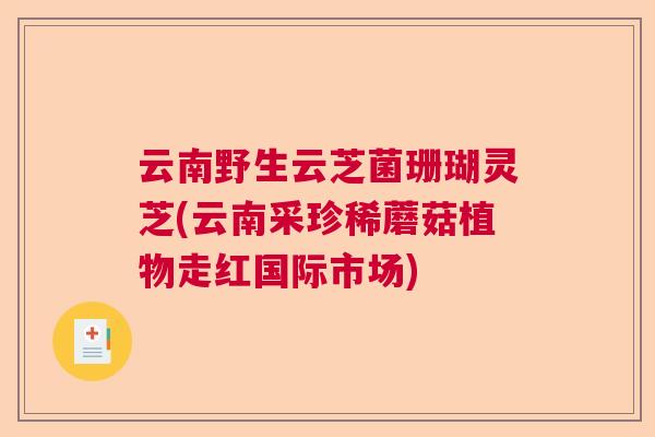 云南野生云芝菌珊瑚灵芝(云南采珍稀蘑菇植物走红国际市场) 云南野生云芝菌珊瑚灵芝(云南采珍稀蘑菇植物走红国际市场)