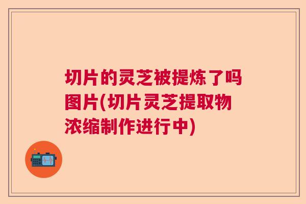 切片的灵芝被提炼了吗图片(切片灵芝提取物浓缩制作进行中) 切片的灵芝被提炼了吗图片(切片灵芝提取物浓缩制作进行中)