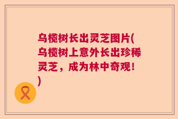 乌榄树长出灵芝图片(乌榄树上意外长出珍稀灵芝,成为林中奇观!) 乌榄树长出灵芝图片(乌榄树上意外长出珍稀灵芝,成为林中奇观!)