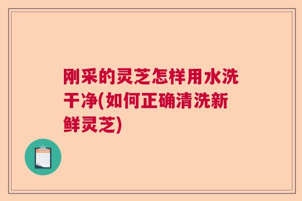 刚采的灵芝怎样用水洗干净(如何正确清洗新鲜灵芝) 刚采的灵芝怎样用水洗干净(如何正确清洗新鲜灵芝)