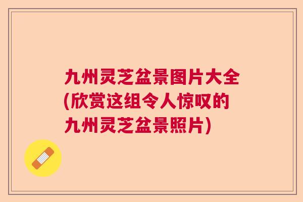 九州灵芝盆景图片大全(欣赏这组令人惊叹的九州灵芝盆景照片) 九州灵芝盆景图片大全(欣赏这组令人惊叹的九州灵芝盆景照片)