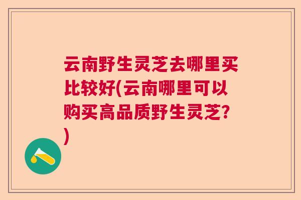 云南野生灵芝去哪里买比较好(云南哪里可以购买高品质野生灵芝?) 云南野生灵芝去哪里买比较好(云南哪里可以购买高品质野生灵芝?)