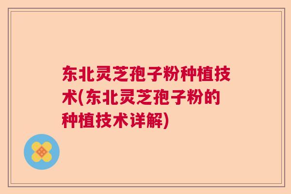 东北灵芝孢子粉种植技术(东北灵芝孢子粉的种植技术详解) 东北灵芝孢子粉种植技术(东北灵芝孢子粉的种植技术详解)