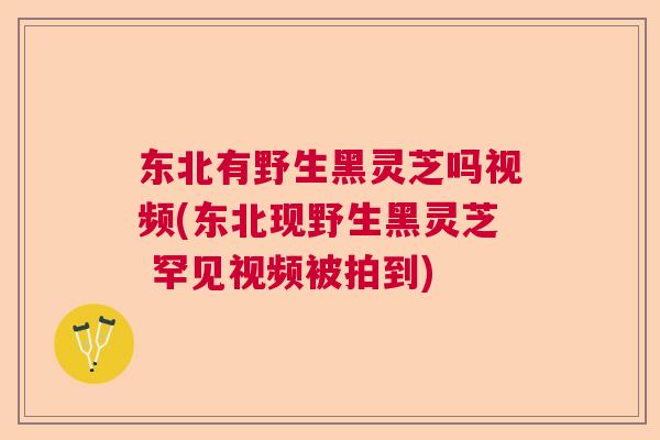 东北有野生黑灵芝吗视频(东北现野生黑灵芝 罕见视频被拍到) 东北有野生黑灵芝吗视频(东北现野生黑灵芝 罕见视频被拍到)