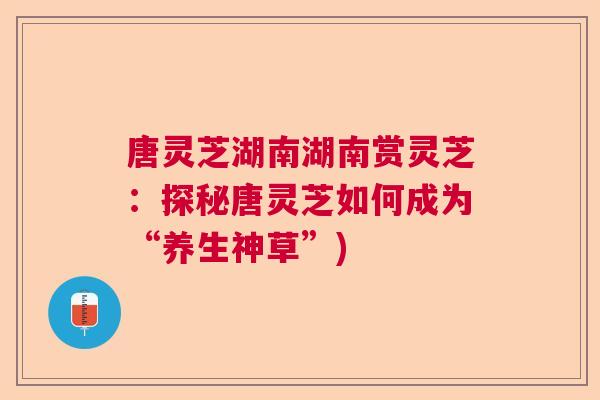 唐灵芝湖南湖南赏灵芝:探秘唐灵芝如何成为“养生神草”) 唐灵芝湖南湖南赏灵芝:探秘唐灵芝如何成为“养生神草”)