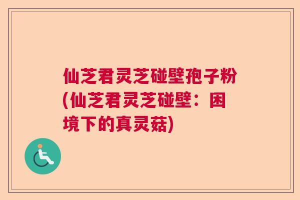 仙芝君灵芝碰壁孢子粉(仙芝君灵芝碰壁:困境下的真灵菇) 仙芝君灵芝碰壁孢子粉(仙芝君灵芝碰壁:困境下的真灵菇)