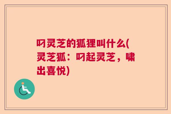 叼灵芝的狐狸叫什么(灵芝狐:叼起灵芝,啸出喜悦) 叼灵芝的狐狸叫什么(灵芝狐:叼起灵芝,啸出喜悦)