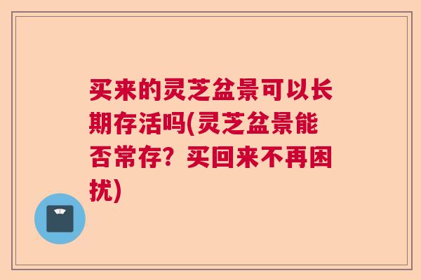 买来的灵芝盆景可以长期存活吗(灵芝盆景能否常存?买回来不再困扰) 买来的灵芝盆景可以长期存活吗(灵芝盆景能否常存?买回来不再困扰)