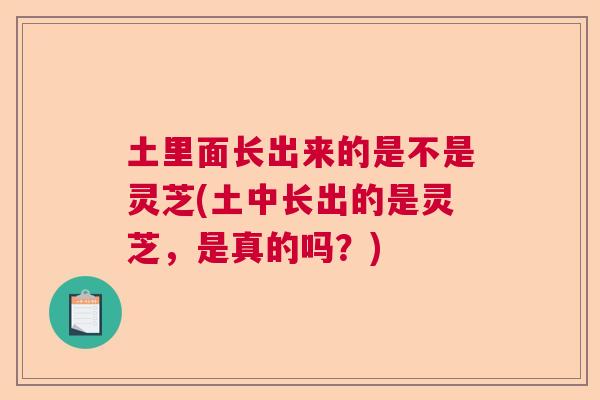 土里面长出来的是不是灵芝(土中长出的是灵芝,是真的吗?) 土里面长出来的是不是灵芝(土中长出的是灵芝,是真的吗?)