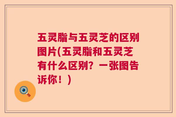 五灵脂与五灵芝的区别图片(五灵脂和五灵芝有什么区别？一张图告诉你！)