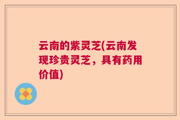云南的紫灵芝(云南发现珍贵灵芝,具有药用价值) 云南的紫灵芝(云南发现珍贵灵芝,具有药用价值)