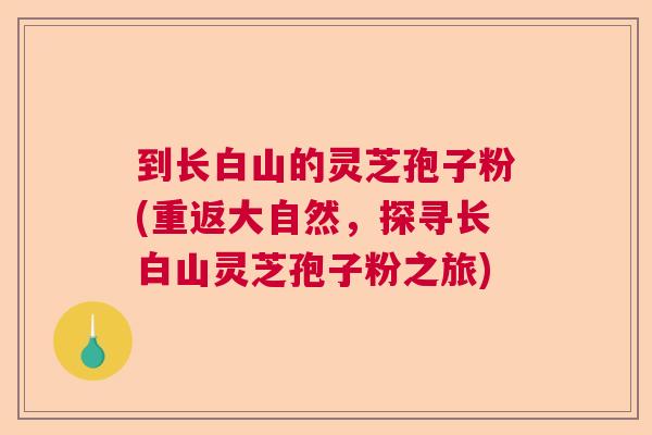 到长白山的灵芝孢子粉(重返大自然,探寻长白山灵芝孢子粉之旅) 到长白山的灵芝孢子粉(重返大自然,探寻长白山灵芝孢子粉之旅)