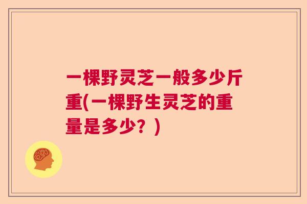 一棵野灵芝一般多少斤重(一棵野生灵芝的重量是多少?) 一棵野灵芝一般多少斤重(一棵野生灵芝的重量是多少?)