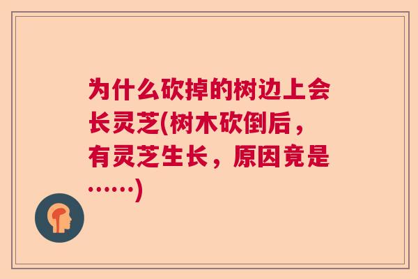 为什么砍掉的树边上会长灵芝(树木砍倒后,有灵芝生长,原因竟是……) 为什么砍掉的树边上会长灵芝(树木砍倒后,有灵芝生长,原因竟是……)