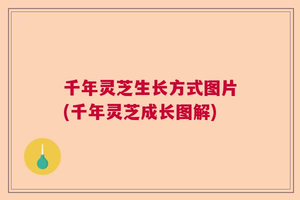 千年灵芝生长方式图片(千年灵芝成长图解) 千年灵芝生长方式图片(千年灵芝成长图解)