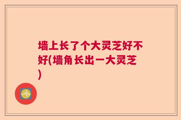 墙上长了个大灵芝好不好(墙角长出一大灵芝) 墙上长了个大灵芝好不好(墙角长出一大灵芝)